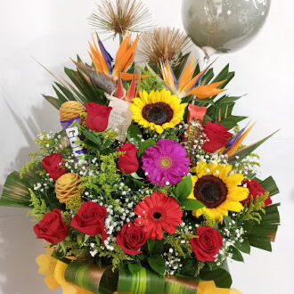 
  Girasoles para regalo Sabaneta
  