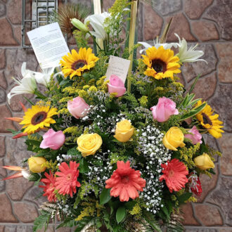 
  Rosas a domicilio Sabaneta
  