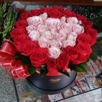 
  Arreglos de grado Sabaneta
  