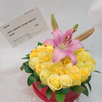 
  Rosas a domicilio Sabaneta
  