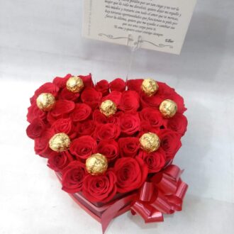 
  Girasoles a domicilio Bello
  